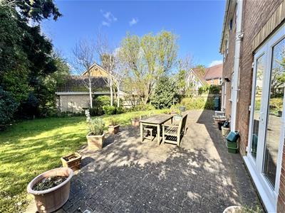 Picture 25